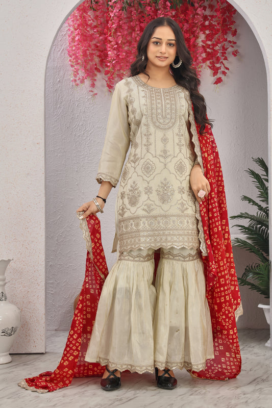 VISCSOE SHIMMER KURTI SET (2261)